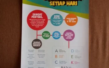 Konsumsi Buah: Rahasia Tubuh Sehat dan Bahagia